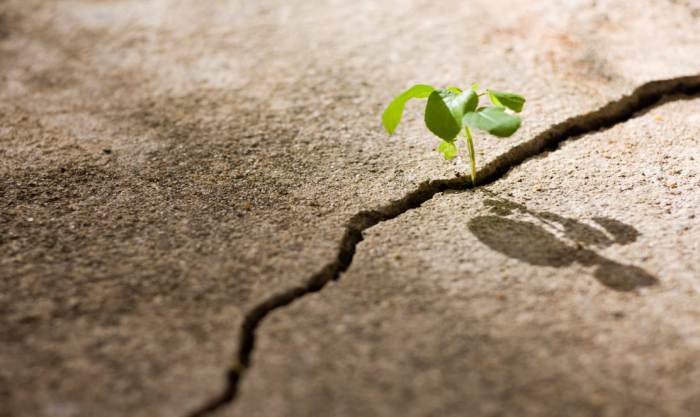 Growing Through Affliction | Making A Difference