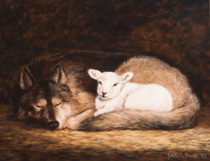 wolf and lamb